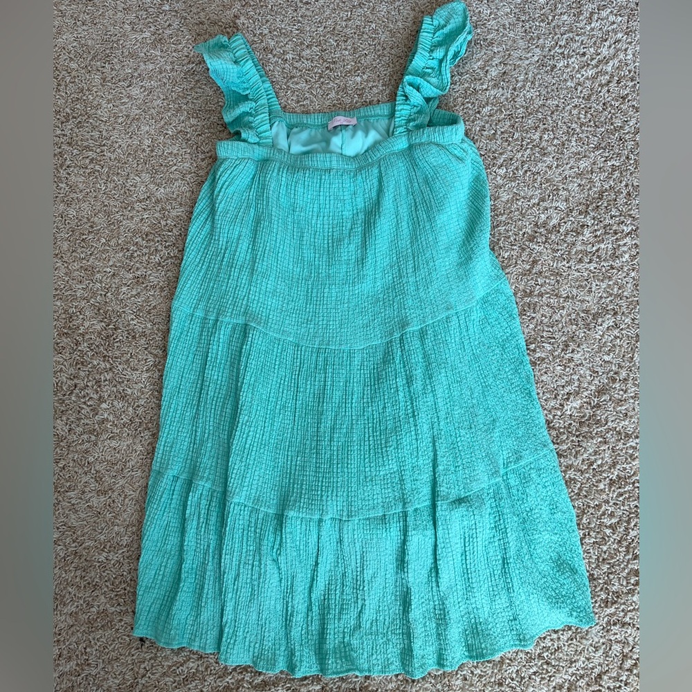 Pink Lily Boutique Mint Green Ruffle Sleeve Lined Crinkled Summer Dress XL